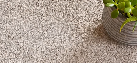 Polypropylene carpets