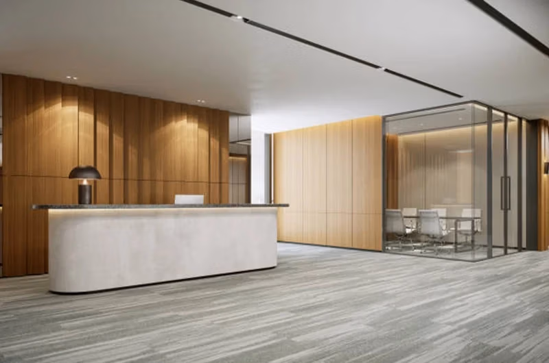 Reception and staff areas